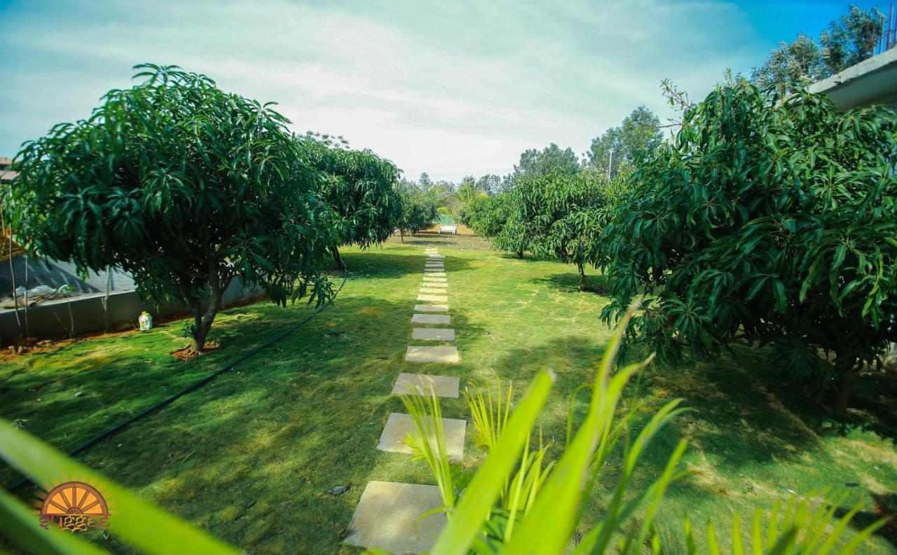 Suggee Resort Jigani Exteriör bild
